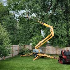 Marinette, WI Tree Care  Company